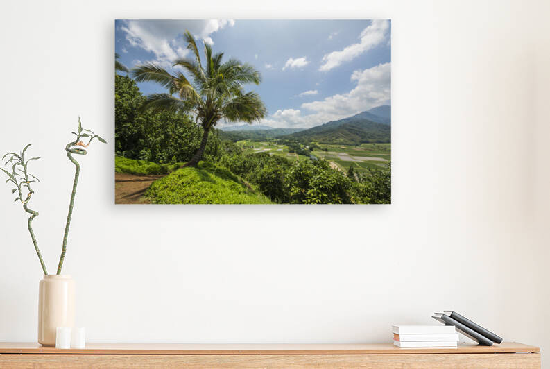 Hanalei Overlook by Images By Jon Evan