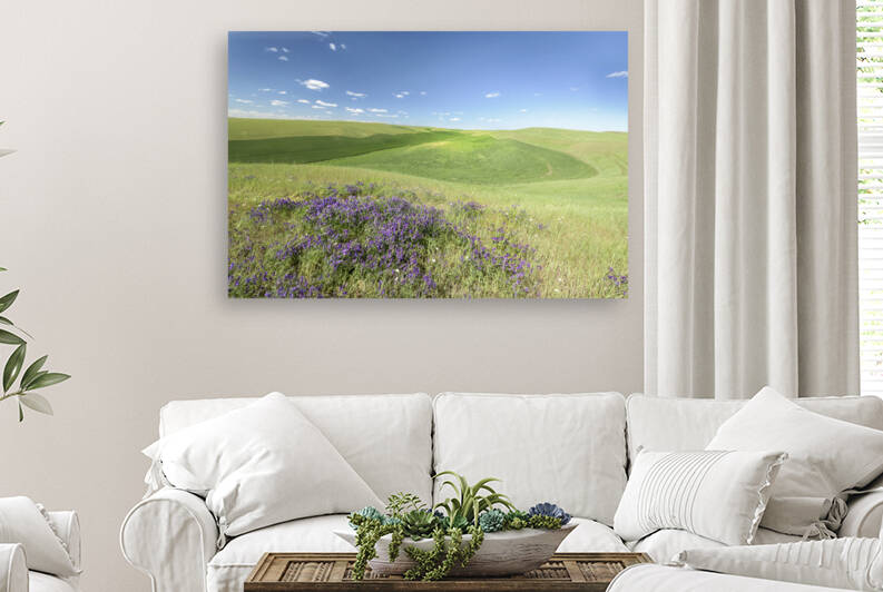 Stroll the Farm by Images By Jon Evan