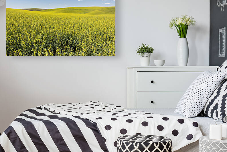 Non Fiction by Images By Jon Evan