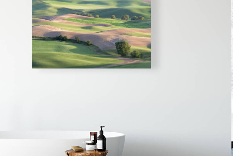 Playtime in the Palouse by Images By Jon Evan