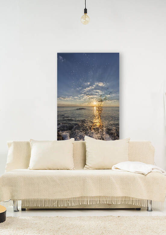 Sarasota Splash by Images By Jon Evan