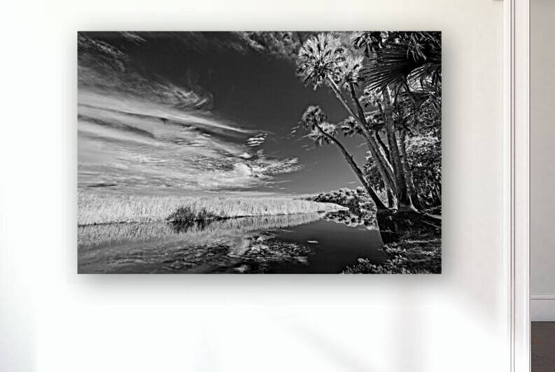 Every Other Tree by Images By Jon Evan