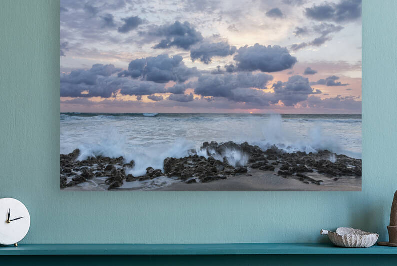 Ocean Blooms by Images By Jon Evan