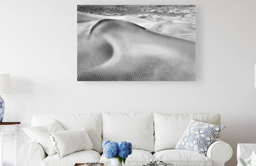 Without Life by Images By Jon Evan