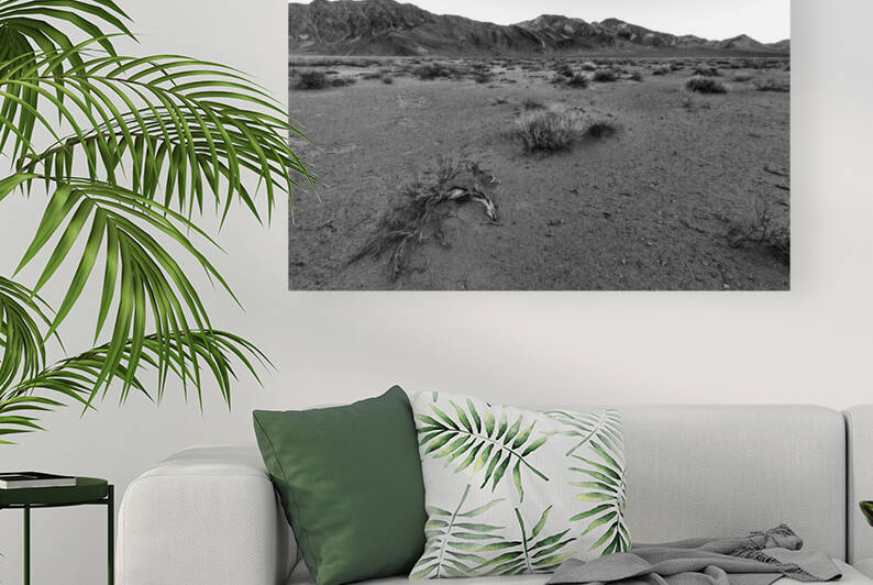 The Desert Floor by Images By Jon Evan