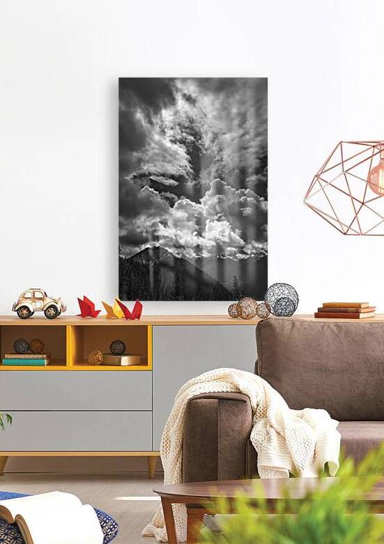 Save the Light by Images By Jon Evan