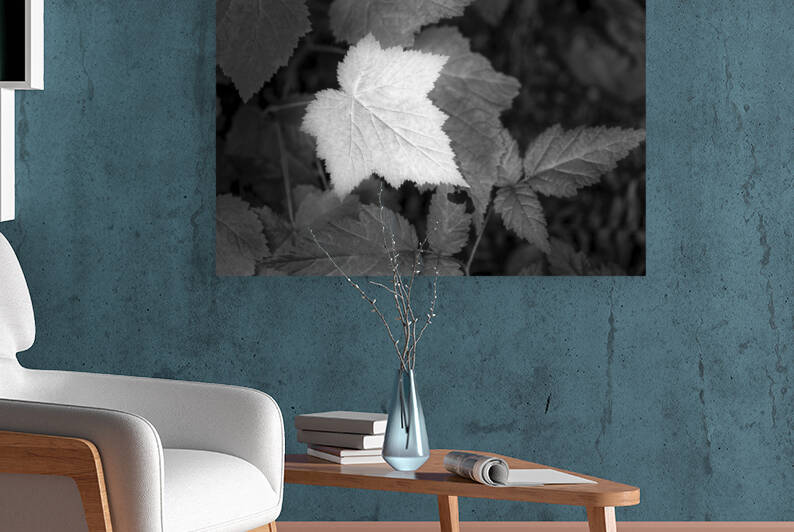 Leaf me Alone by Images By Jon Evan