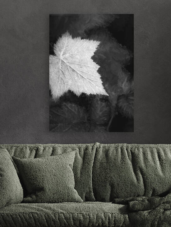 Leaf Me Alone II by Images By Jon Evan
