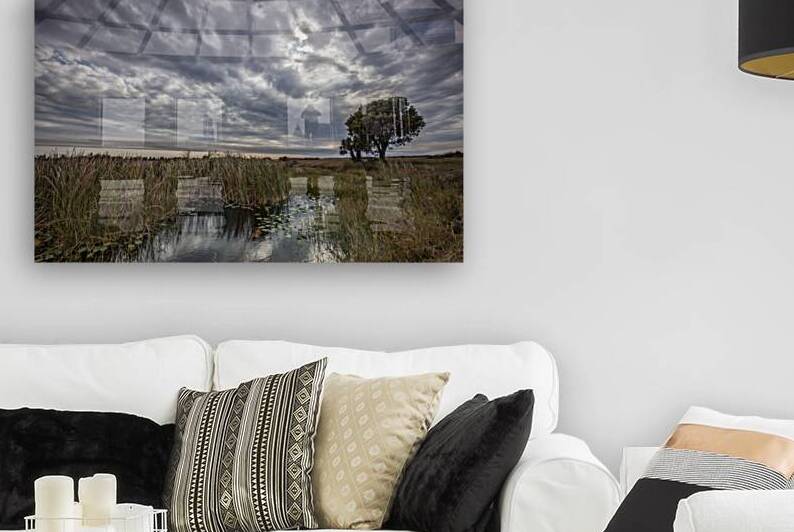 My Backyard by Images By Jon Evan