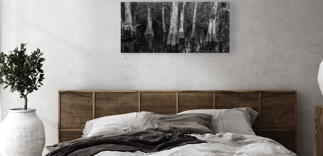 Cypress Elders by Images By Jon Evan