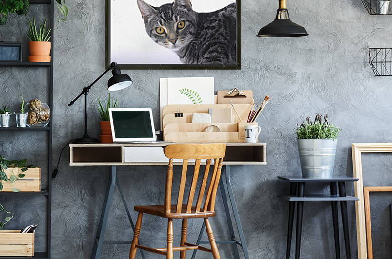 Portrait of a grey tabby cat;Vancouver british columbia canada by PacificStock