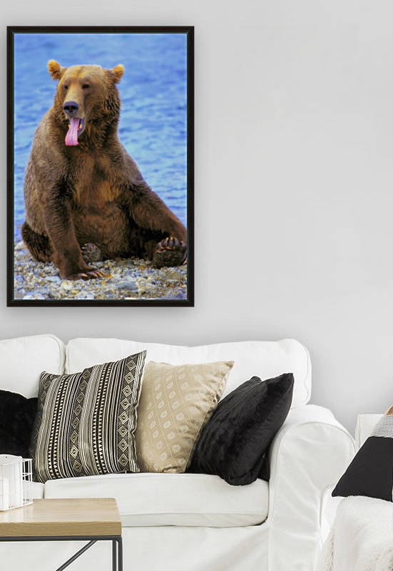 Yawning Grizzly Bear Sitting By Water's Edge;Alaska United States Of America by PacificStock