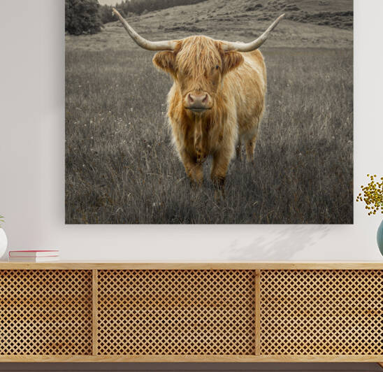 Guardians of the Highlands by Assaf Frank