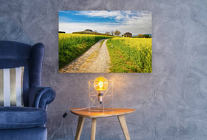 Rapeseed Fields in Full Bloom - CR2204-7070-ORT by JordiCarrio