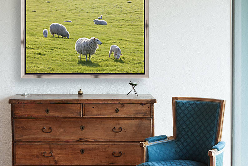 Sheep in a field in the typical English countryside of rolling hills around village of Kingston Deverill; West Wiltshire, England by PacificStock