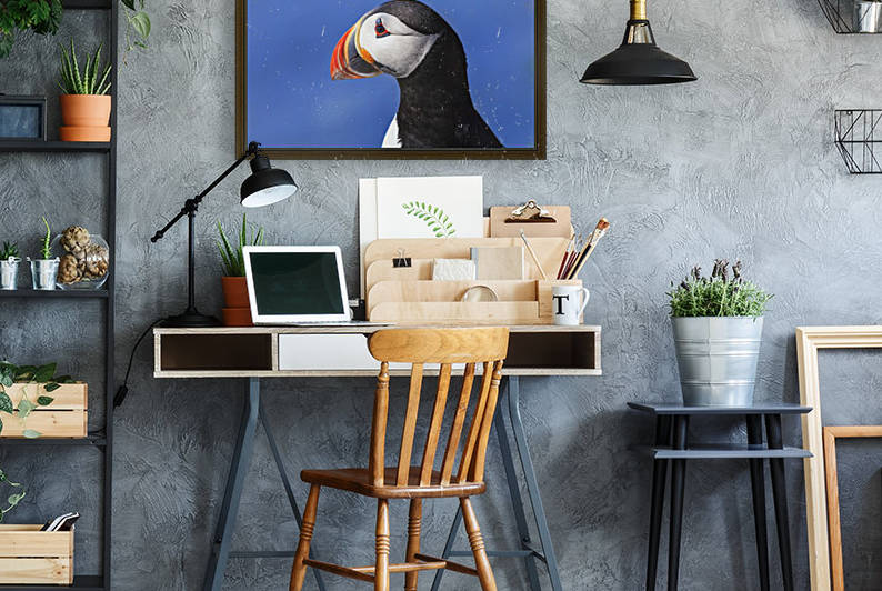Close up of Atlantic Puffin (Fratercula arctica) at Ile aux Perroquets, Mingan Archipelago National Park Reserve of Canada, Cote-Nord, Duplessis region; Quebec, Canada by PacificStock