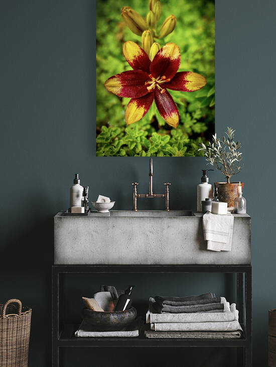 Summer in Full Bloom by J Gilbert Photography