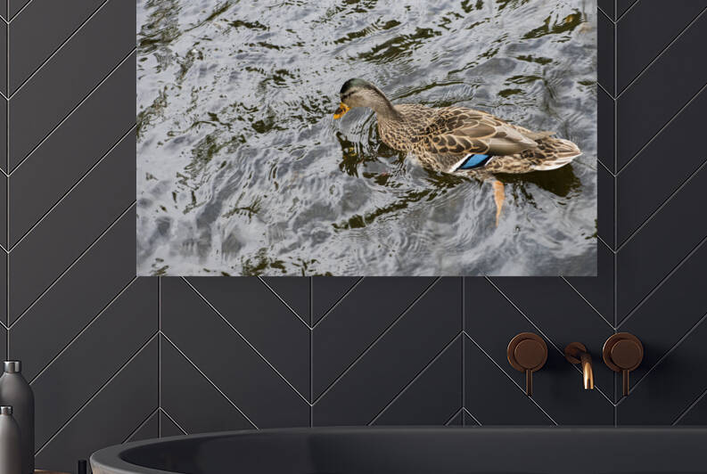 Grand Navigateur du Quebec by Melissa Lefebvre