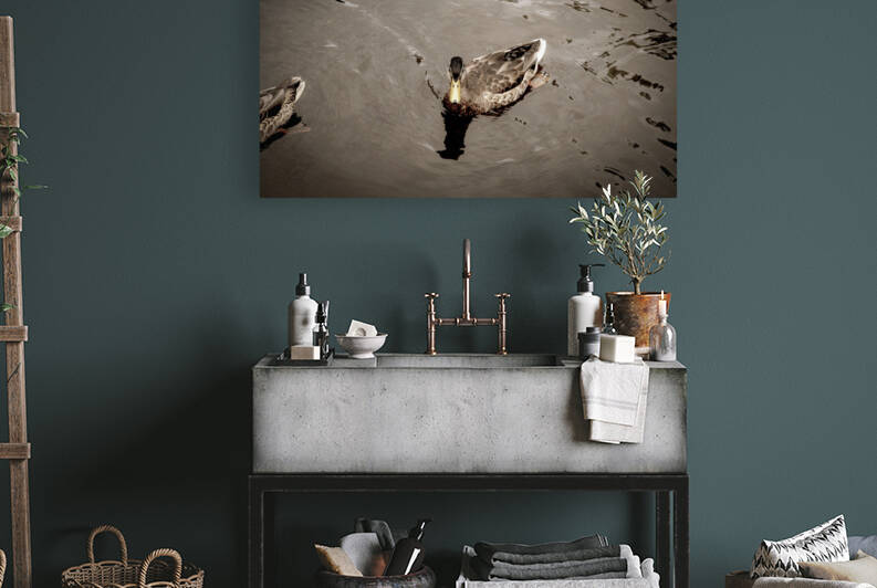 Canard style sepia by Melissa Lefebvre