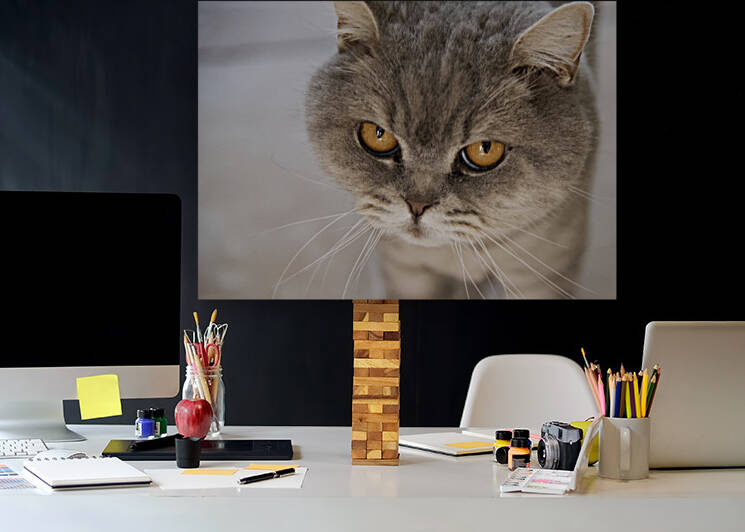 Chat Macro 2 by Melissa Lefebvre