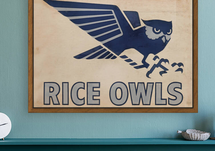 Vintage Rice Owl Art by Row One Brand