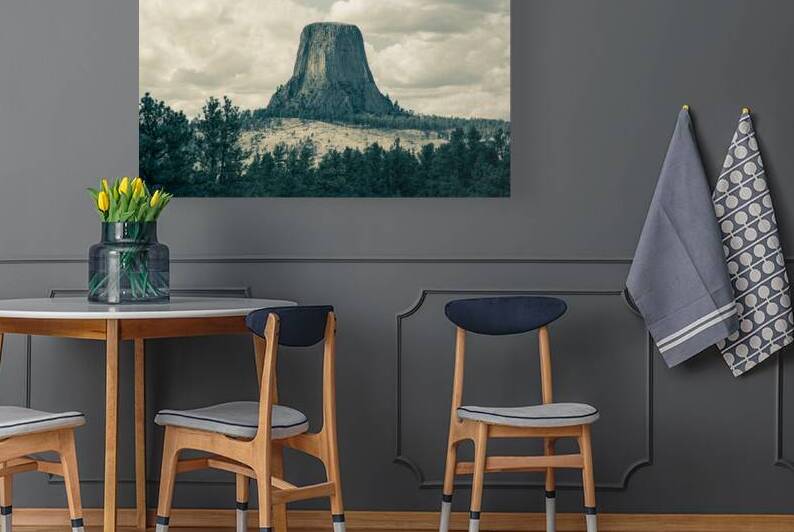 Devils Tower also called Grizzly Bear Lodge by Bo Insogna