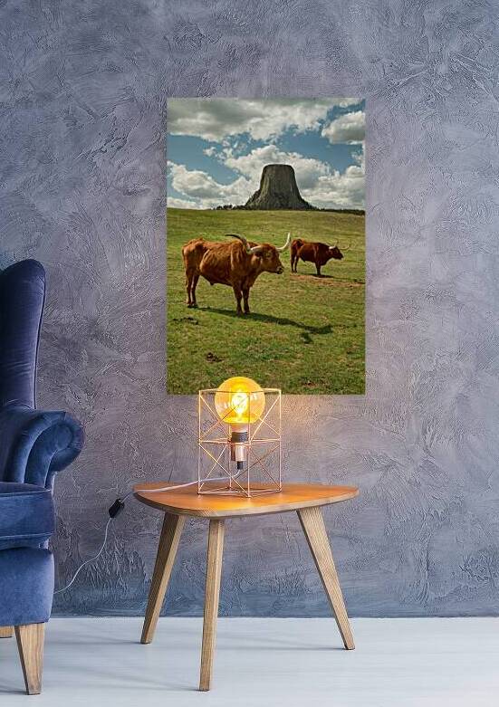 Texas Longhorn Cows Gracefully Posing at Majestic Devils Tower by Bo Insogna