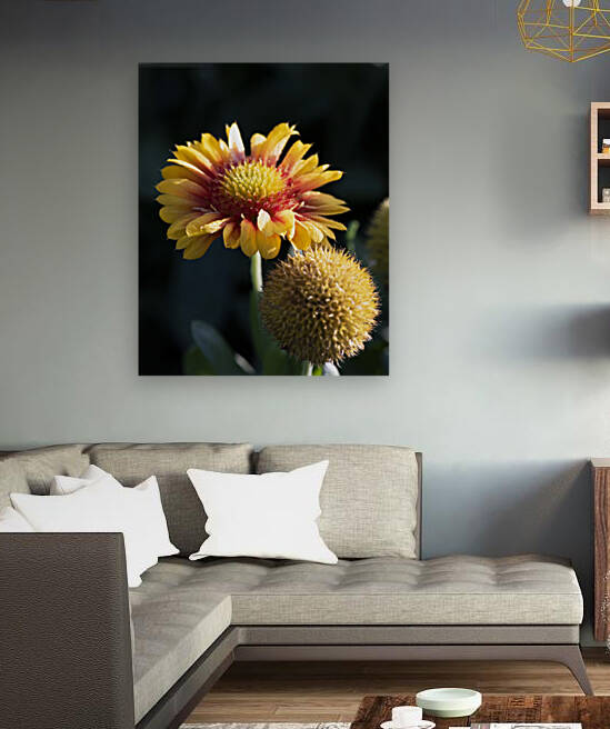 Fleurs decorative by Melissa Lefebvre