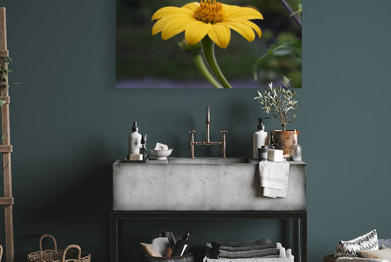 Fleurs jaune magnifique by Melissa Lefebvre