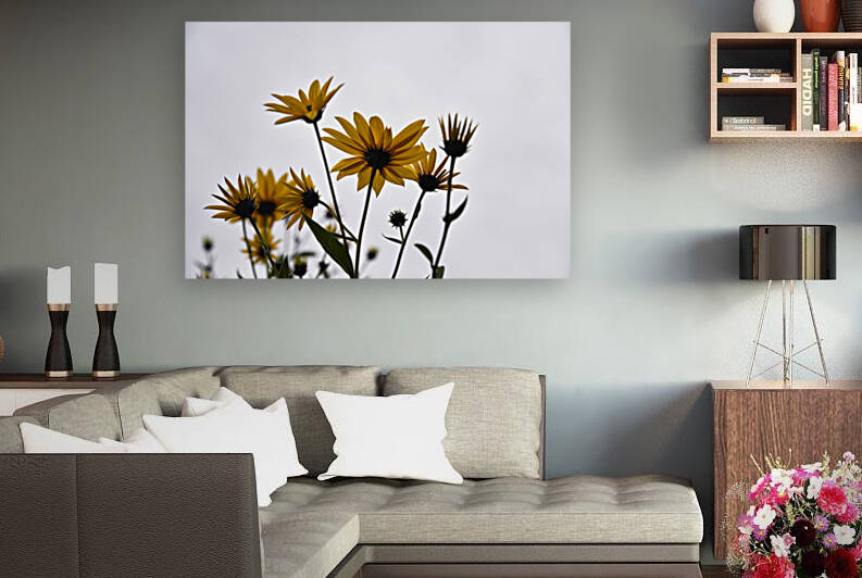 Fleurs de printemps by Melissa Lefebvre