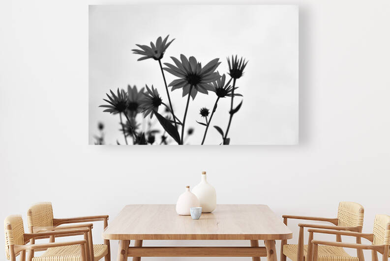 Fleur noir et blanc by Melissa Lefebvre