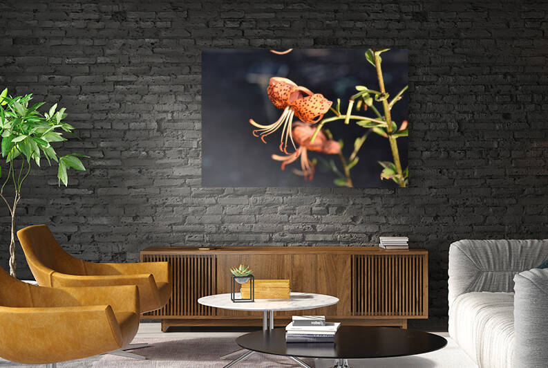 Fleur dete decorative by Melissa Lefebvre