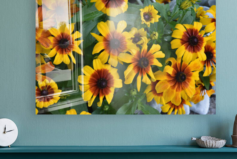 Champs de tournesol by Melissa Lefebvre