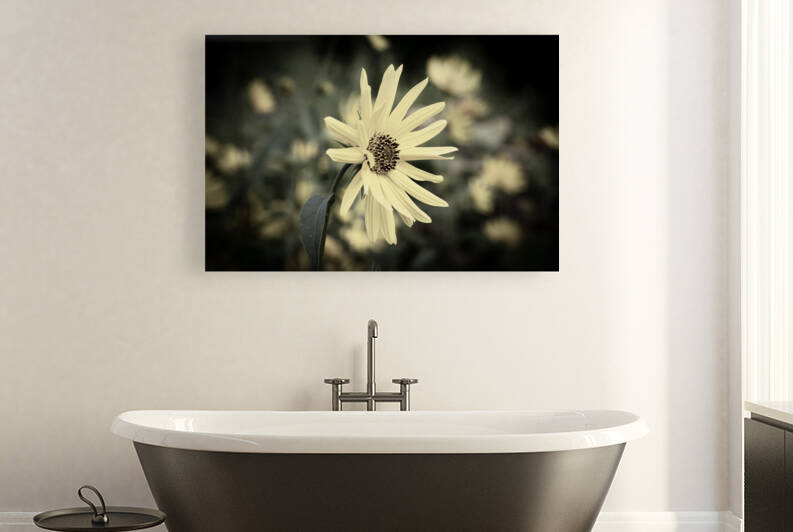 Flowers macro desature by Melissa Lefebvre