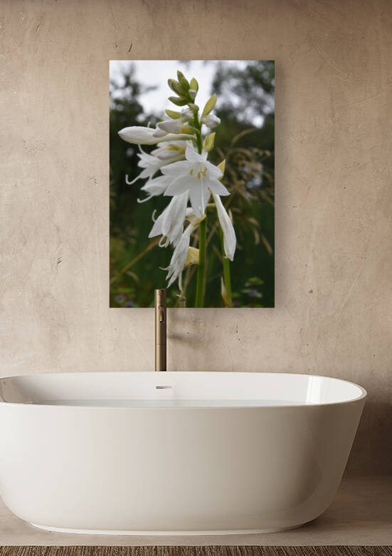 Fleur Blanche by Melissa Lefebvre