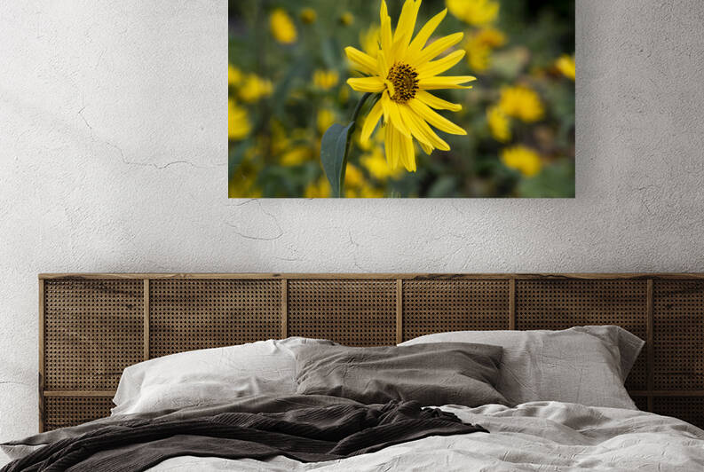 Fleurs Macro by Melissa Lefebvre