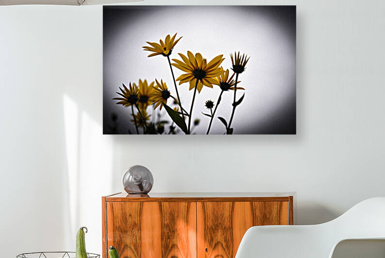 Decorative wall flowers by Melissa Lefebvre