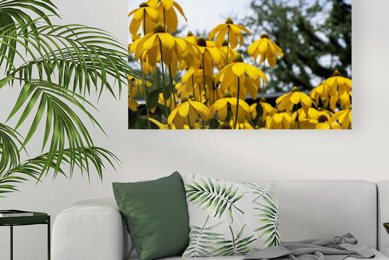 Tournesol en course by Melissa Lefebvre