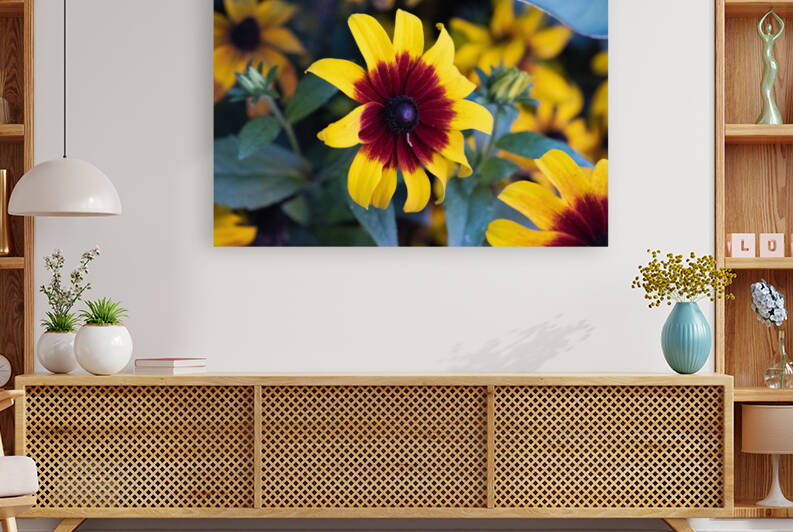 Margurerite eclatante by Melissa Lefebvre