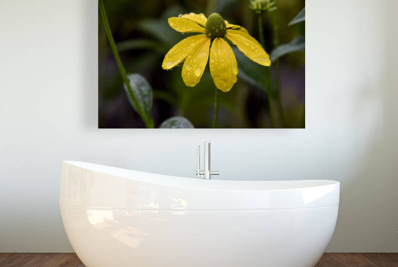 Fleur sous la pluie de printemps by Melissa Lefebvre