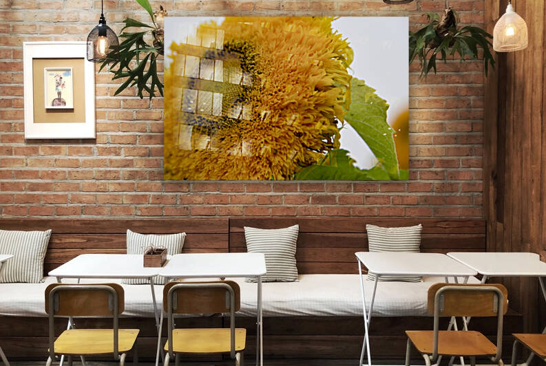 Tournesol big macro by Melissa Lefebvre