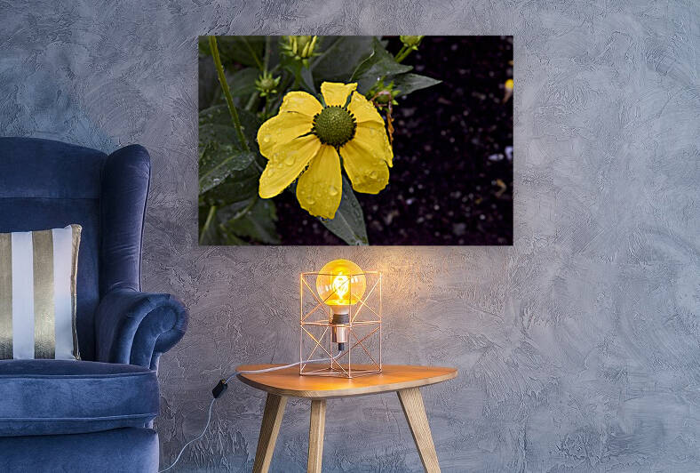 Fleurir sous la pluie by Melissa Lefebvre