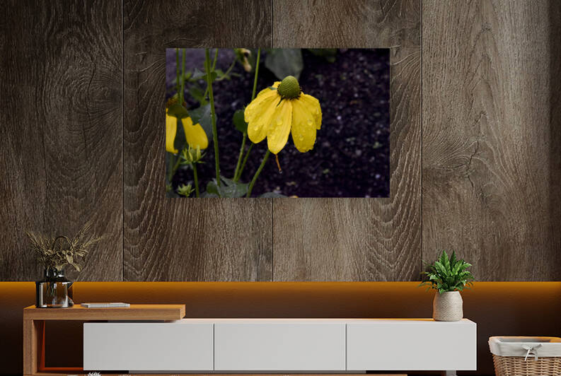 Pluie et deception by Melissa Lefebvre