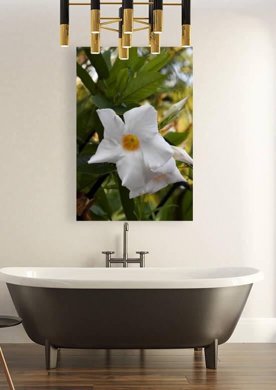 Jolie fleurs blanche macro by Melissa Lefebvre