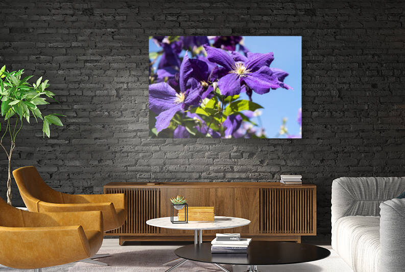 Fleurs du printemps by Melissa Lefebvre