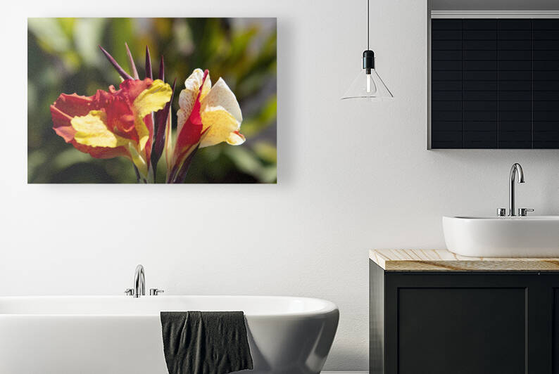 Balisier comestible by Melissa Lefebvre