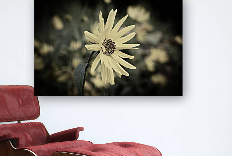 Decorative fleurs dete by Melissa Lefebvre