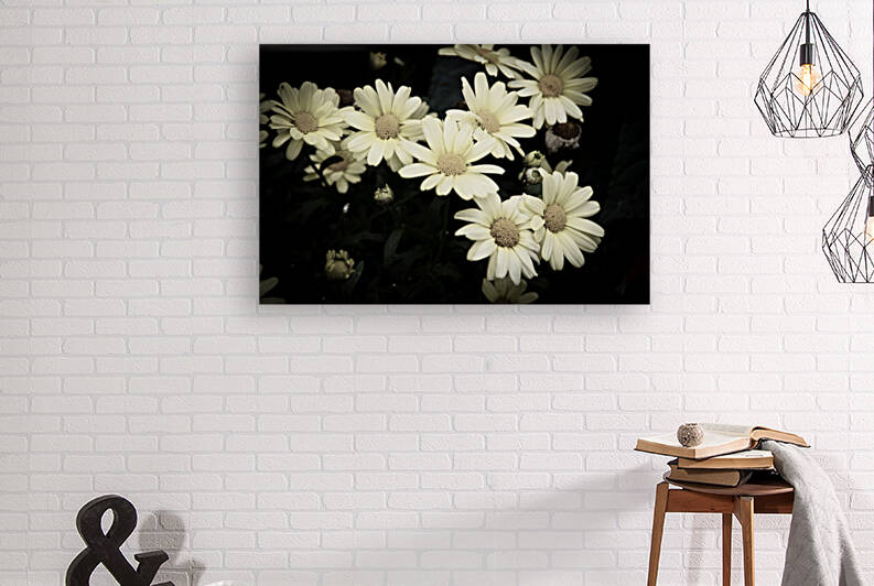 Fleurs desaturer  by Melissa Lefebvre