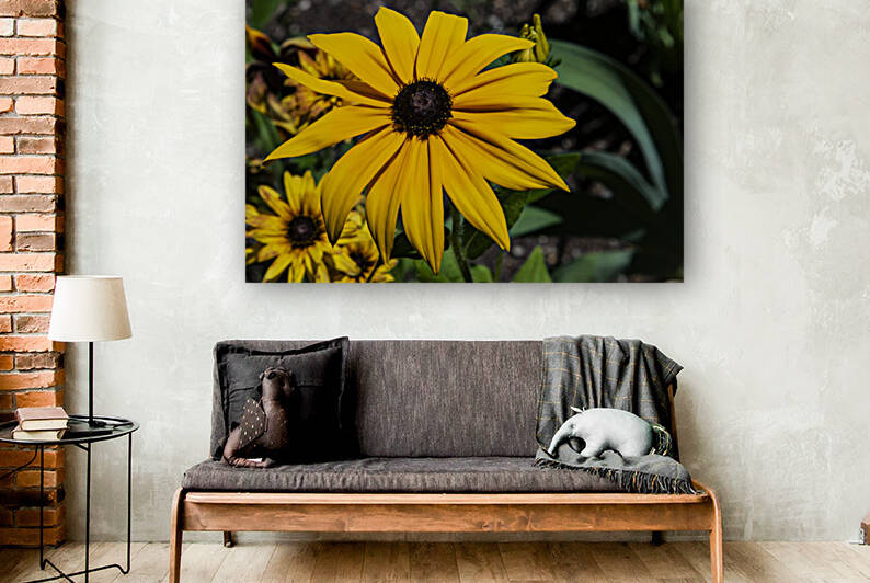 Fleurs tournesol en macro by Melissa Lefebvre