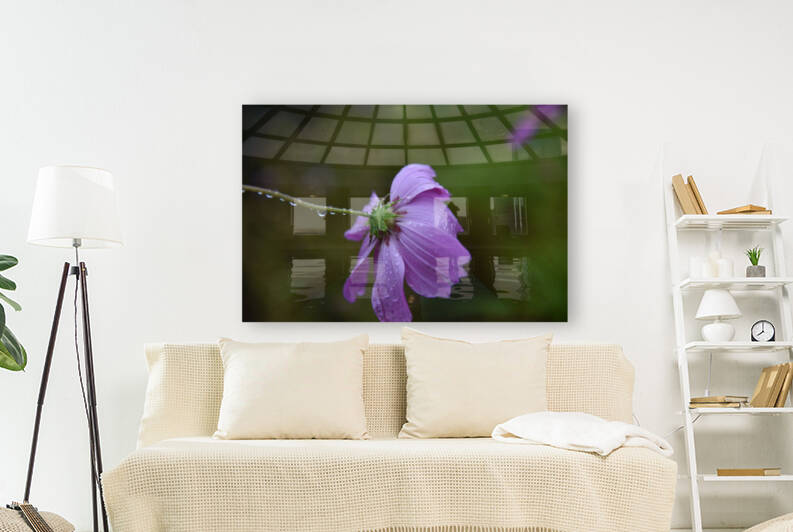 Fleurs qui pleure by Melissa Lefebvre